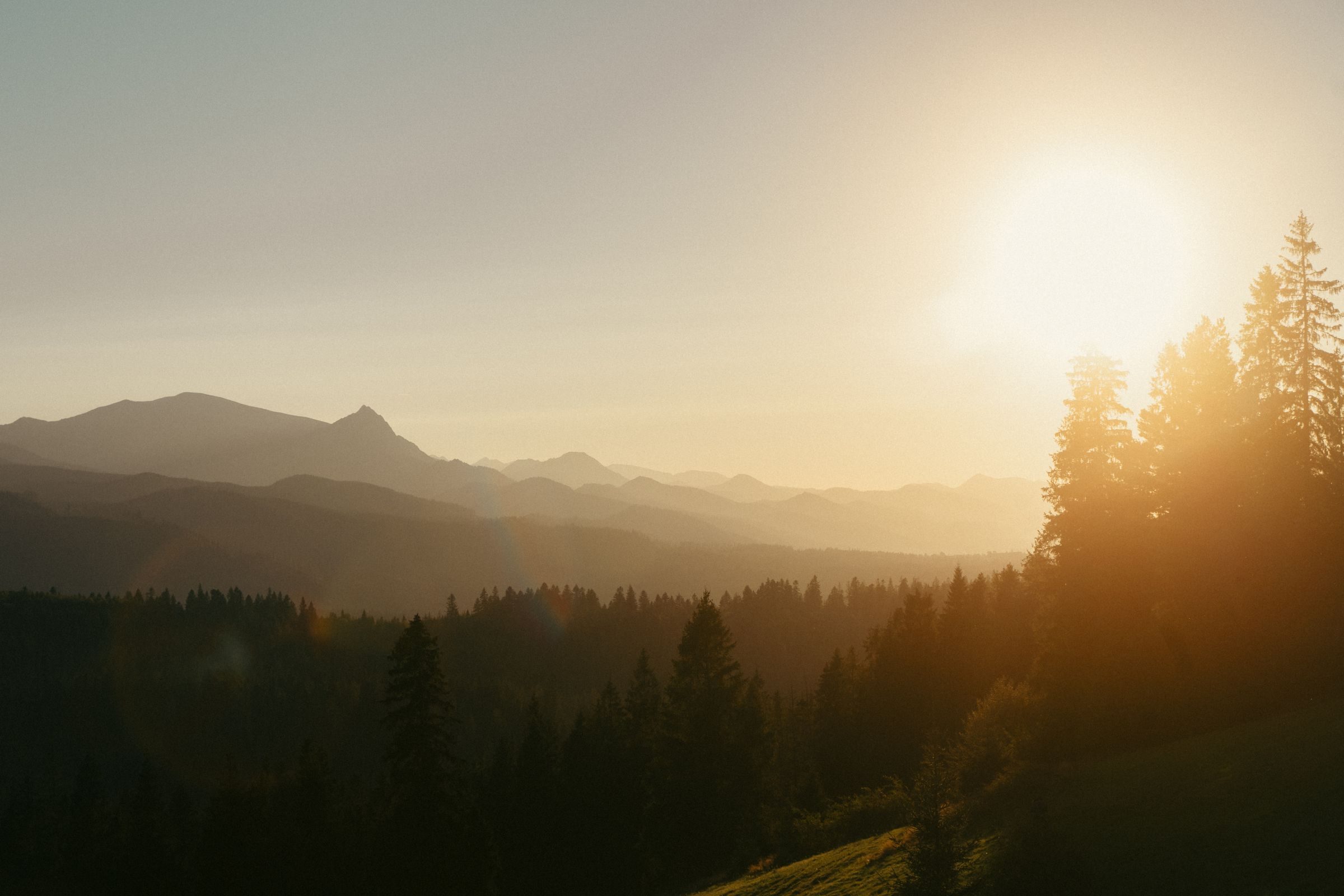 Golden sun peeking over pine-covered mountain ridges in soft morning haze